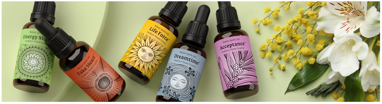 Findhorn Flower Essence 🌺
