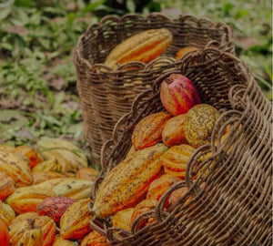 Ceremoniel Cacao - Mater Flora _ økologisk og biodynamisk