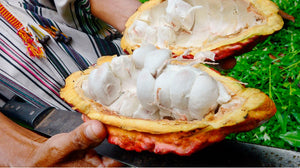 Ceremoniel Kakao - PERU 450g