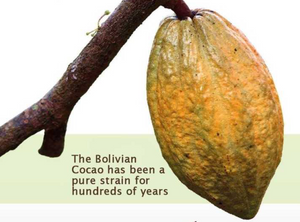 Ceremoniel Cacao Bolivia 1 kg