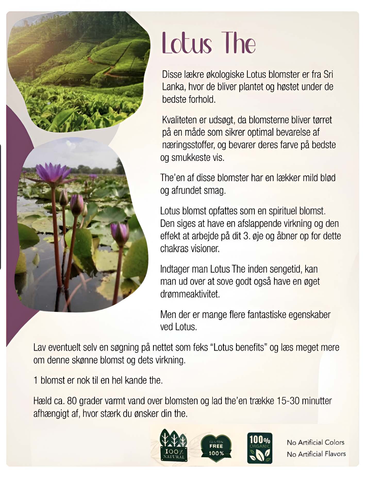 Blå Lotus Te økologisk lille pose