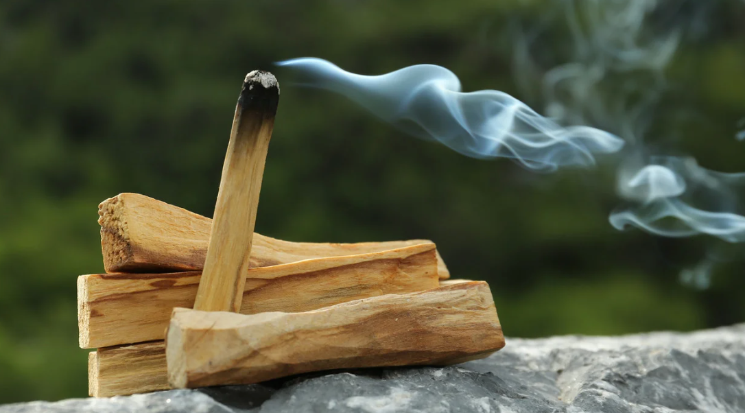 Palo Santo