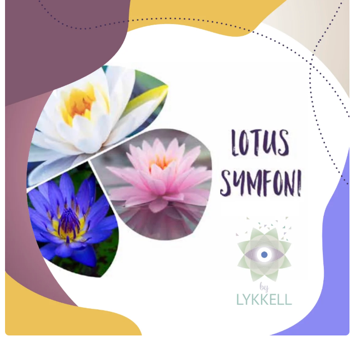 Lotus Symfoni