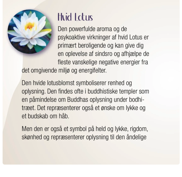 Lotus Symfoni