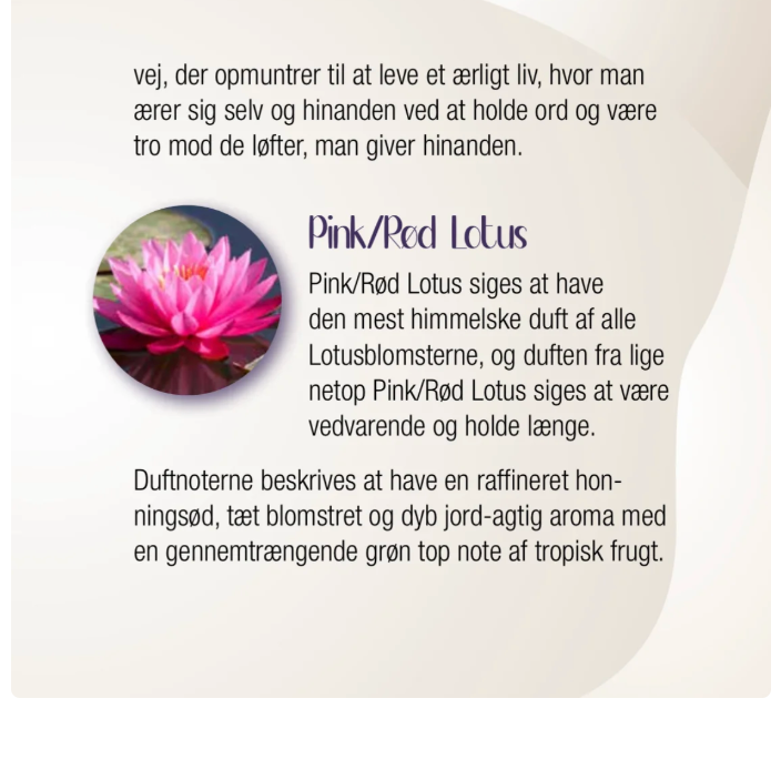 Lotus Symfoni