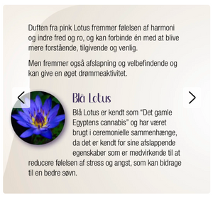 Lotus Symfoni